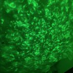 Gwiezdny Projektor ™ photo review