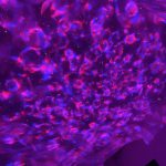 Gwiezdny Projektor ™ photo review