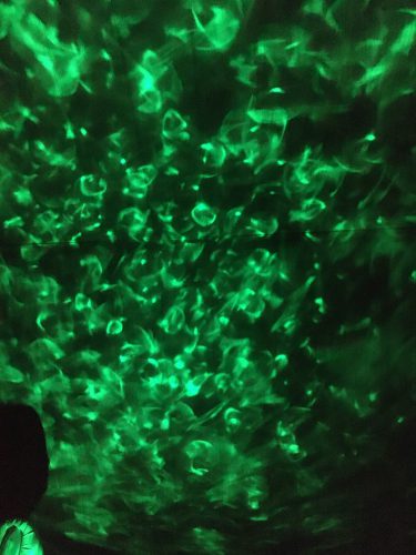 opinia gwiazdoholik.de