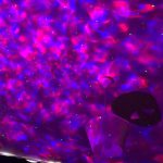 Gwiezdny Projektor ™ photo review