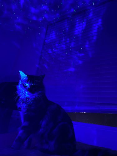 Gwiezdny Projektor ™ photo review