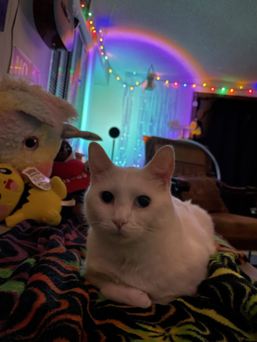 Lampa Słoneczna Sunset ™ photo review