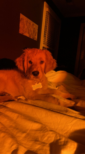 Lampa Słoneczna Sunset ™ photo review